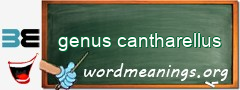 WordMeaning blackboard for genus cantharellus